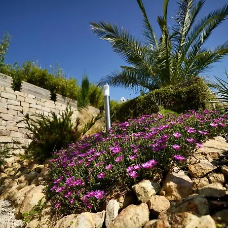 Tatil Evi Maison Haut De Gamme A 5min A Pied De La Cathedrale De *
